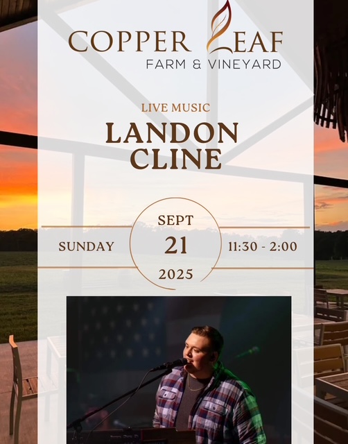Landon Cline live music flyer