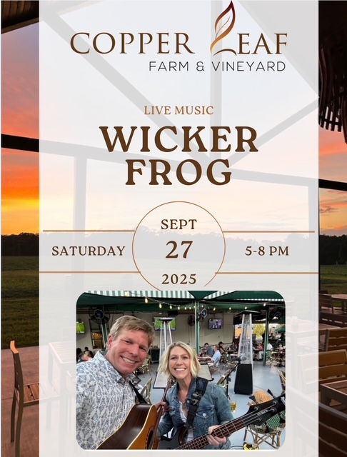 Wicker Frog live music event