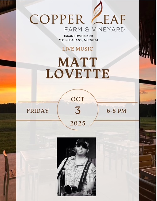Matt Lovette live music flyer