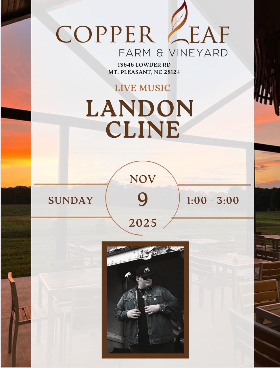 Landon Cline live music event flyer